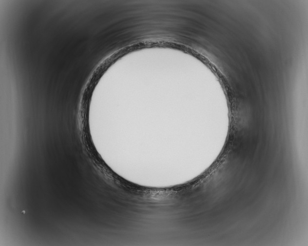 X0000098160832200804171216