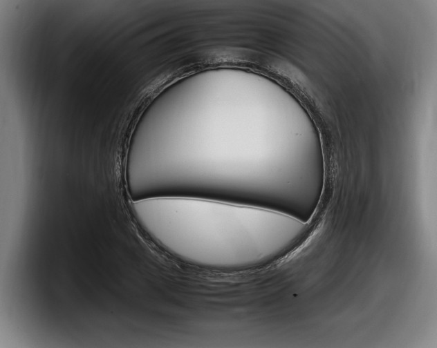 X0000098160833200804171216