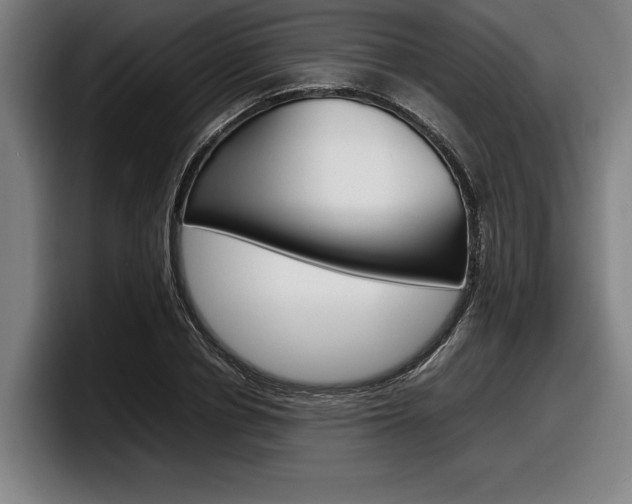 X0000098160834200804171216