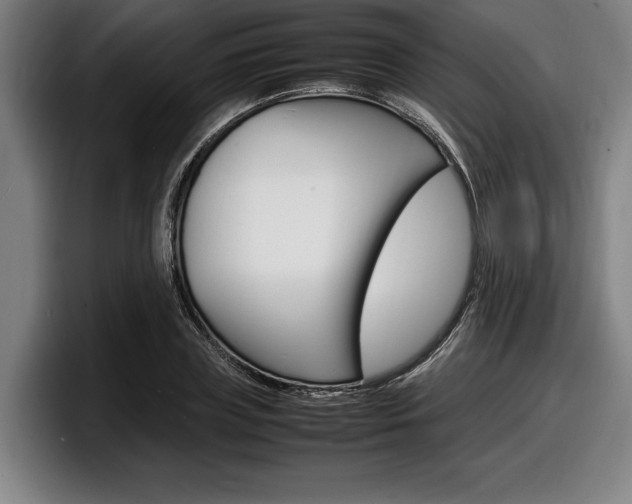 X0000098160835200804171216