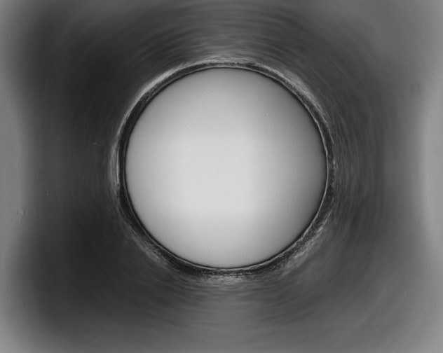 X0000098160838200804171216