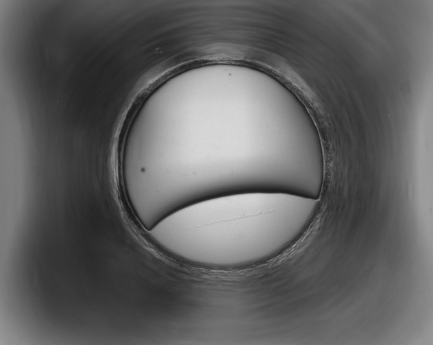 X0000098160840200804171216