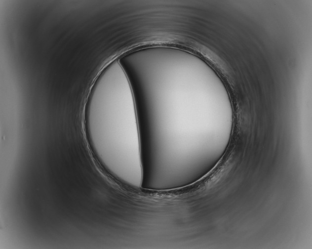 X0000098160842200804171216