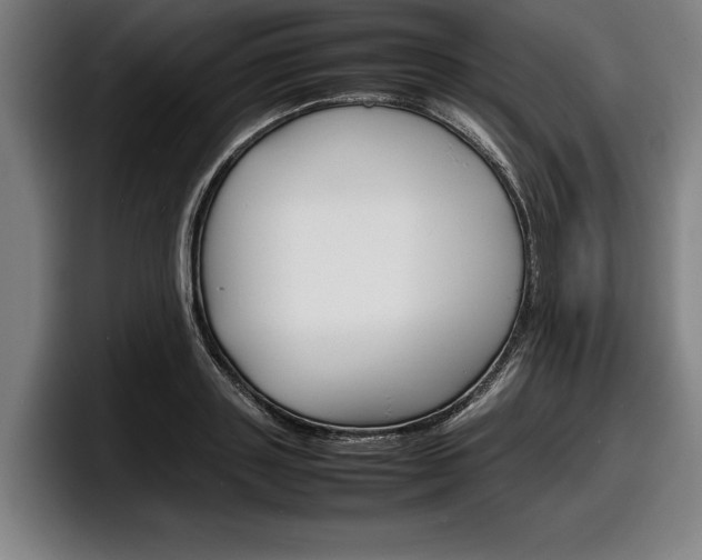 X0000098160843200804171216