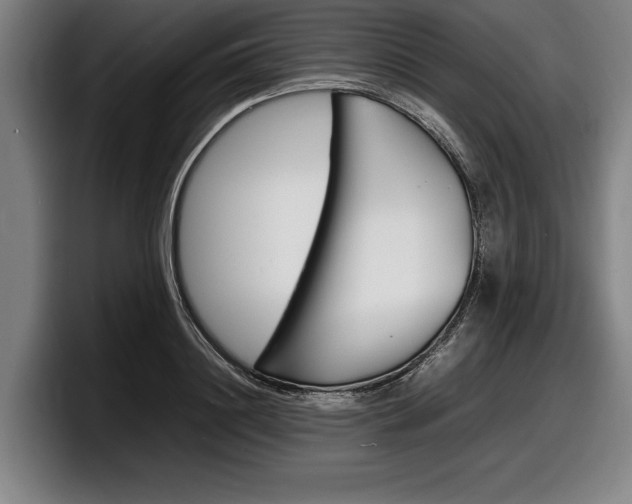 X0000098160844200804171216