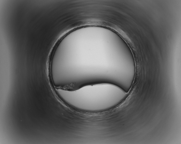 X0000098160846200804171216