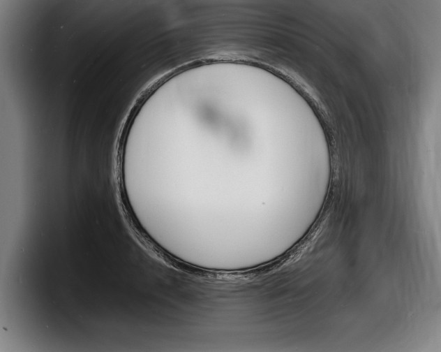 X0000098160848200804171216