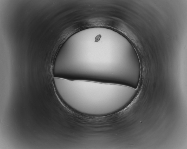 X0000098160849200804171216