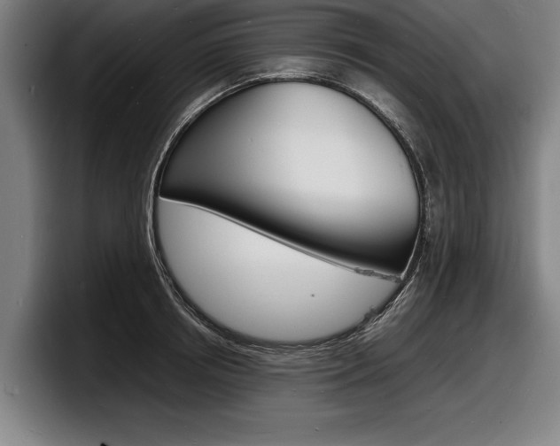X0000098160850200804171216
