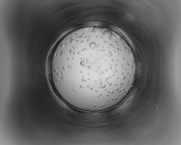 X0000098160851200804171216