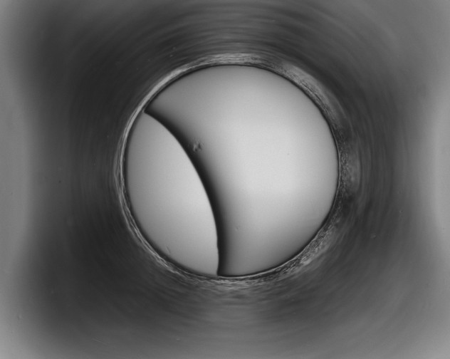 X0000098160852200804171216