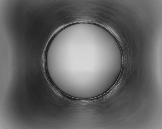 X0000098160854200804171216