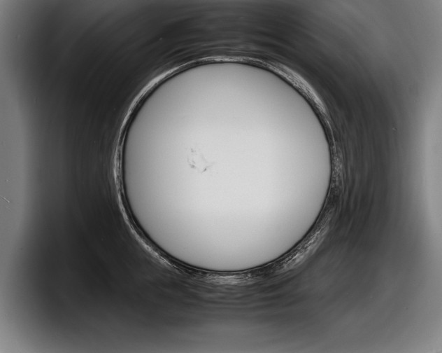 X0000098160855200804171216