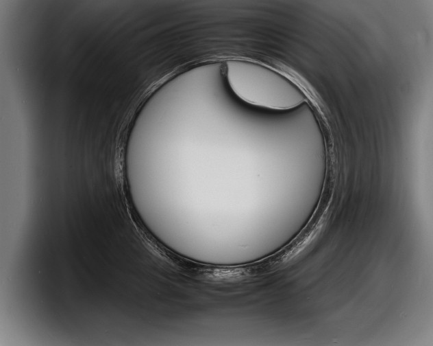 X0000098160857200804171216