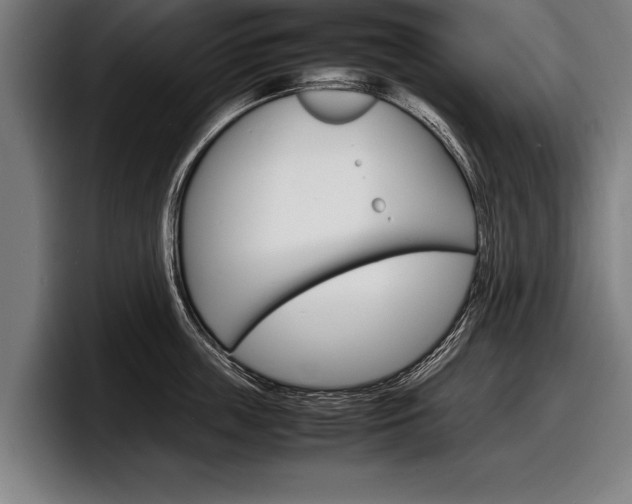 X0000098160859200804171216