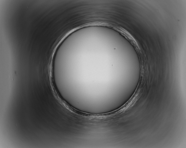X0000098160860200804171216