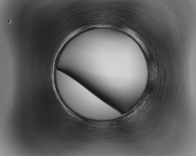 X0000098160861200804171216