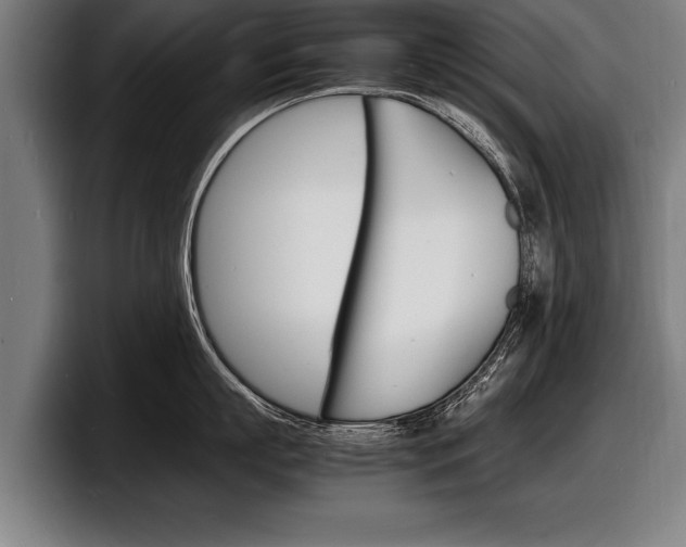 X0000098160863200804171216