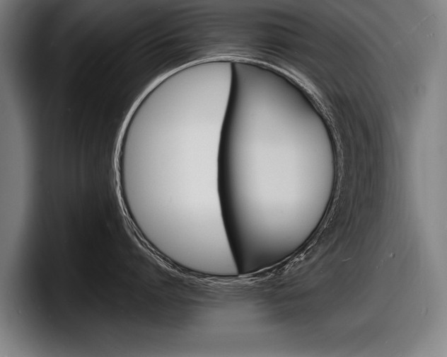 X0000098160864200804171216