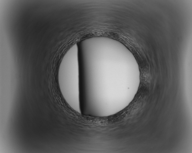 X0000098160865200804171215