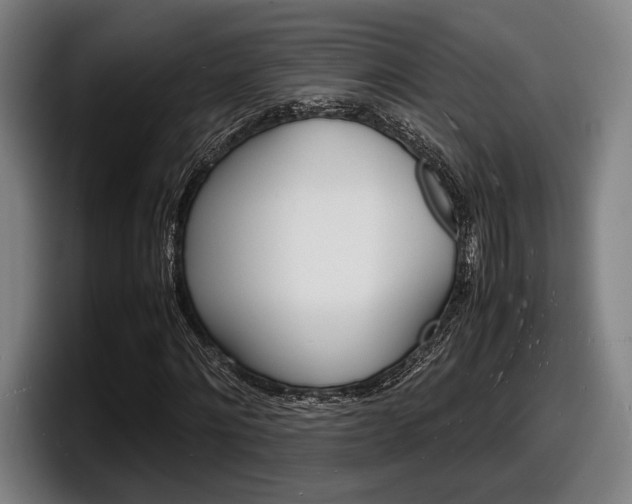 X0000098160868200804171215