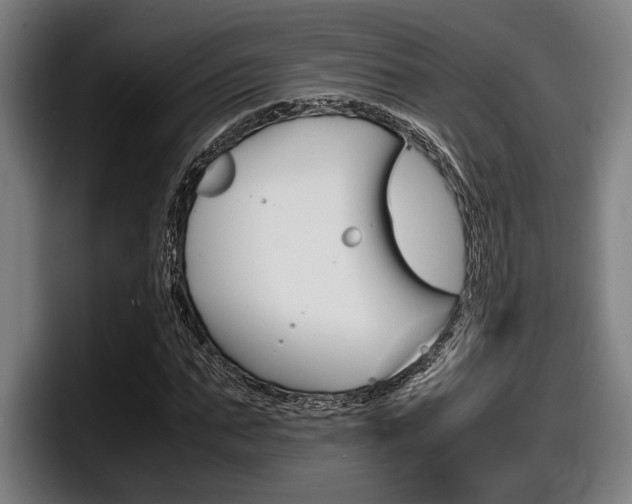 X0000098160871200804171215