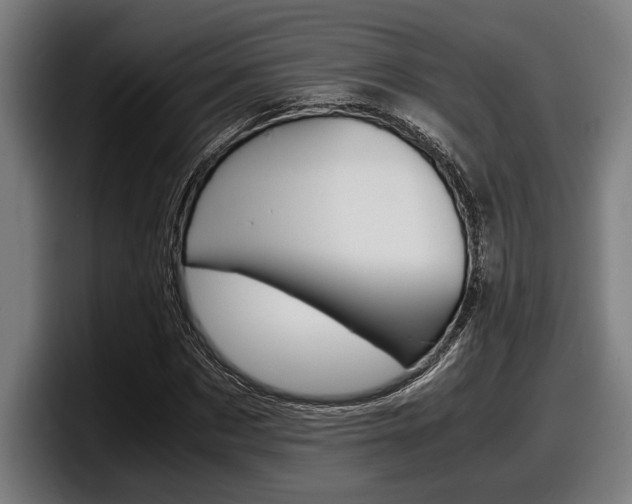 X0000098160873200804171215