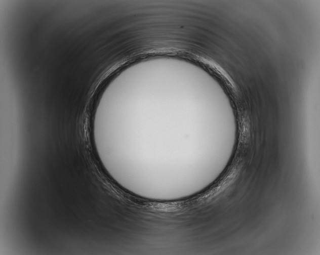 X0000098160874200804171215