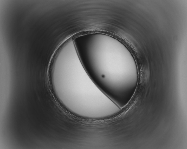 X0000098160876200804171215