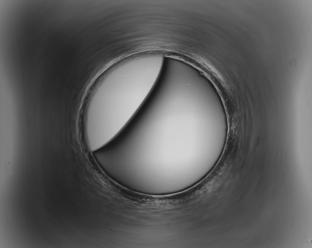 X0000098160877200804171215