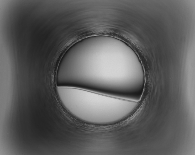 X0000098160881200804171215
