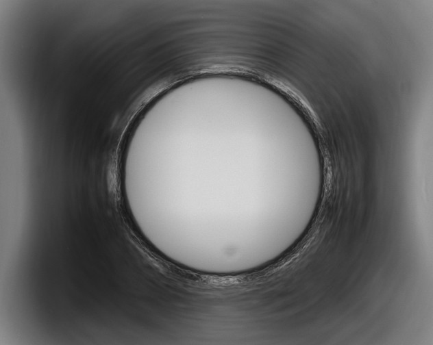 X0000098160882200804171215