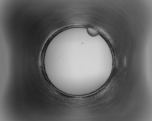 X0000098160883200804171215