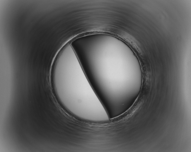 X0000098160884200804171215