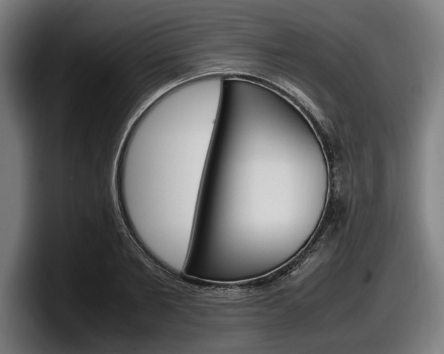 X0000098160885200804171215