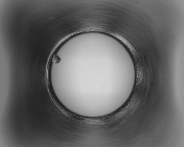 X0000098160886200804171215