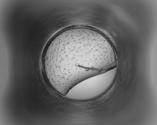 X0000098160887200804171215