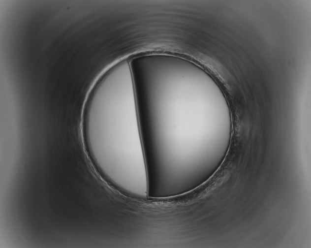 X0000098160888200804171215