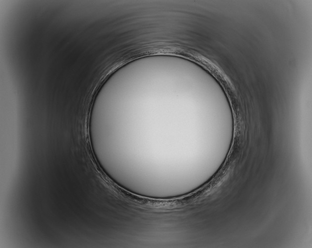 X0000098160889200804171215