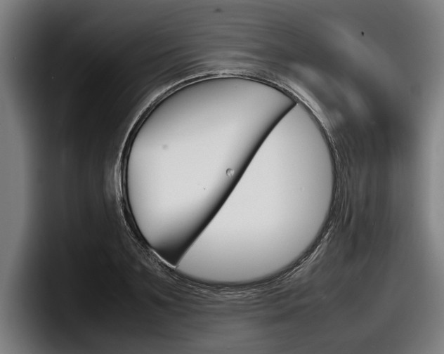 X0000098160891200804171215