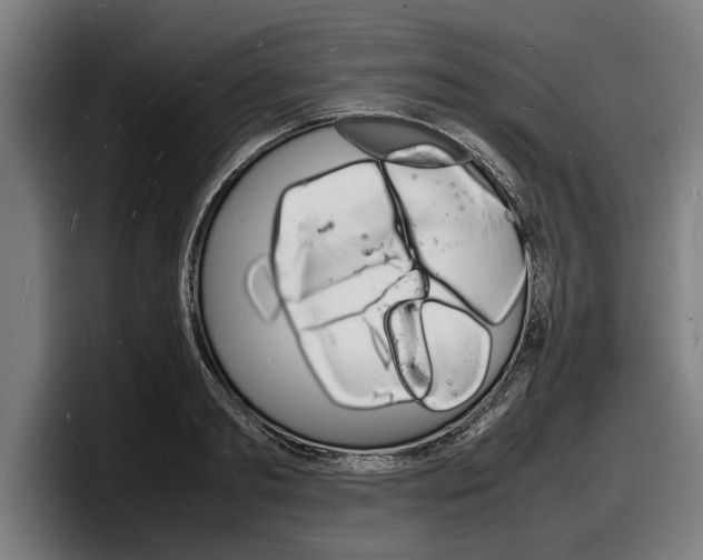 X0000098160893200804171215