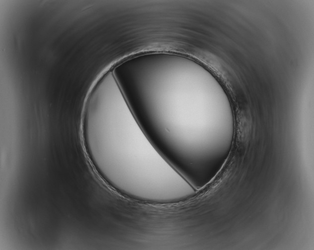 X0000098160896200804171215