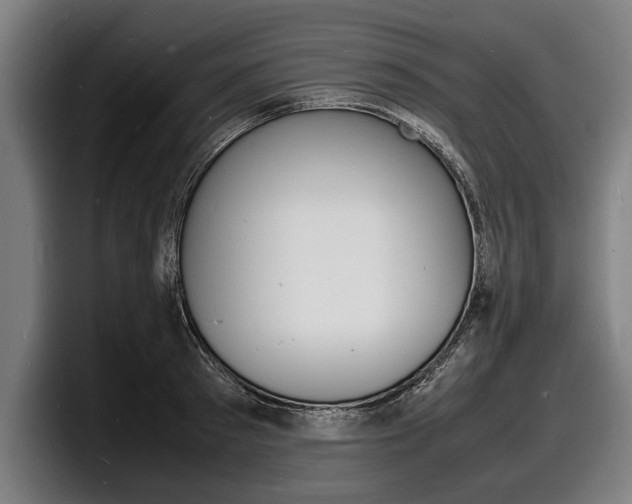 X0000098160897200804171215
