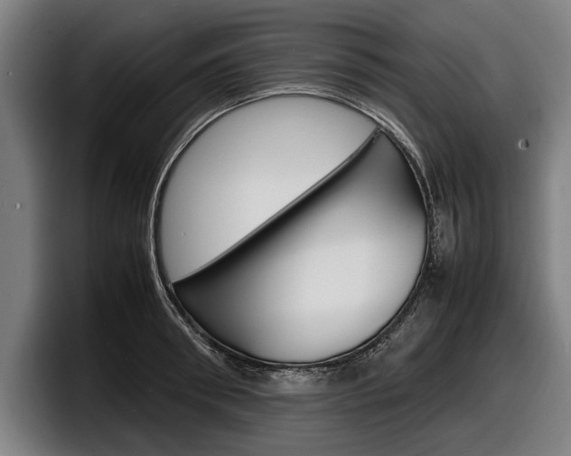 X0000098160898200804171215