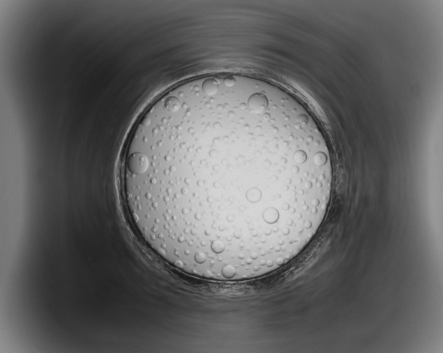X0000098160899200804171215