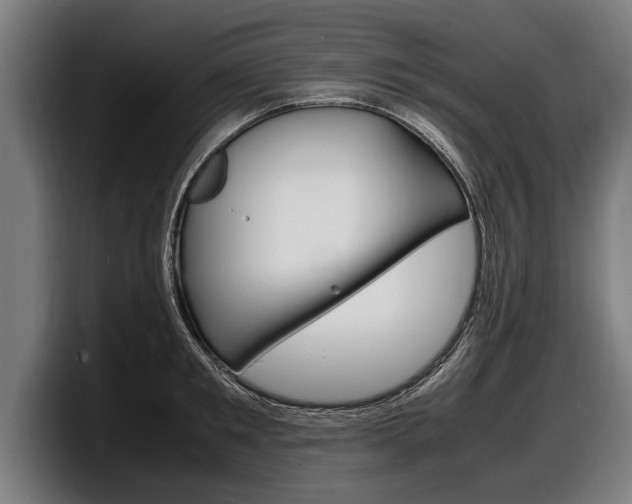 X0000098160901200804171215