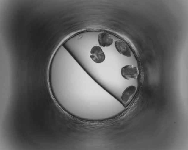 X0000098160903200804171215