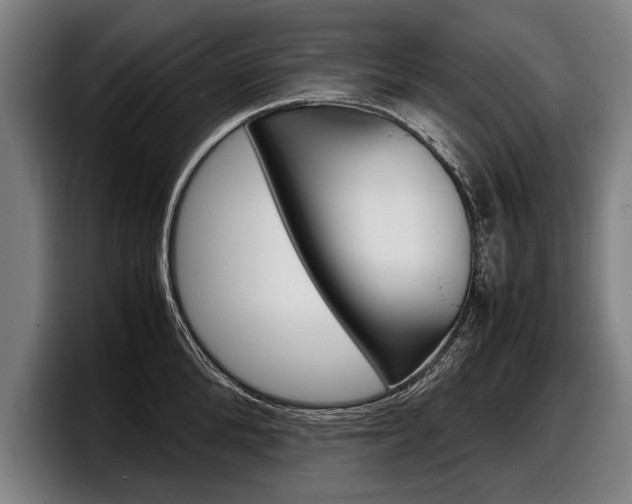 X0000098160904200804171215