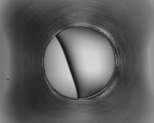 X0000098160905200804171215