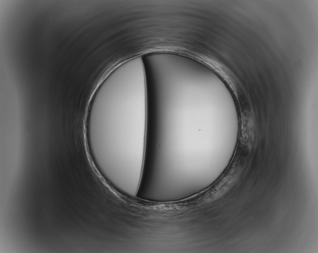 X0000098160906200804171215